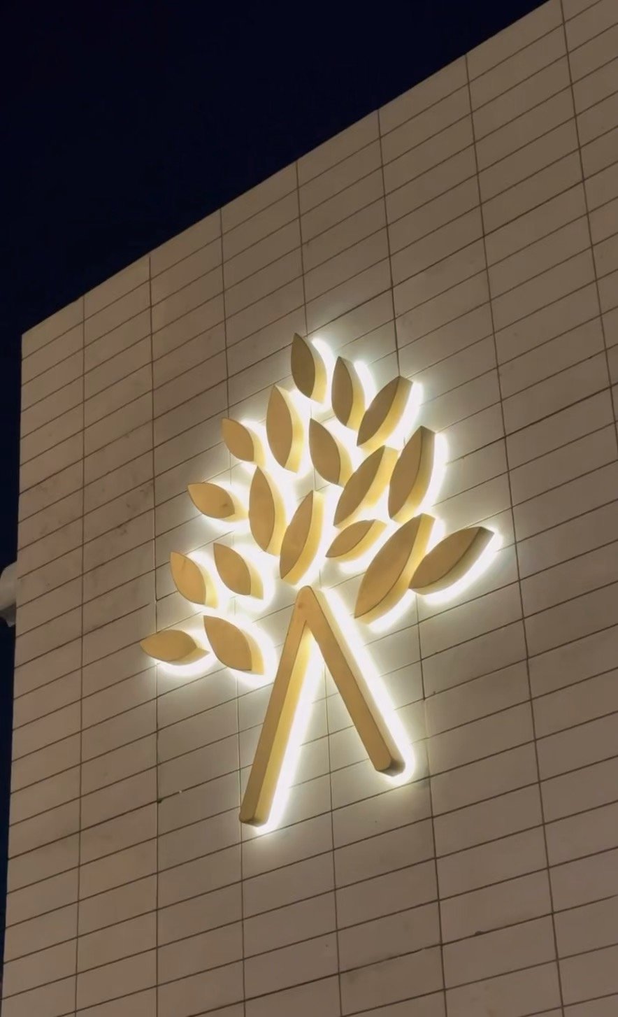 أشجار محمصة القهوة